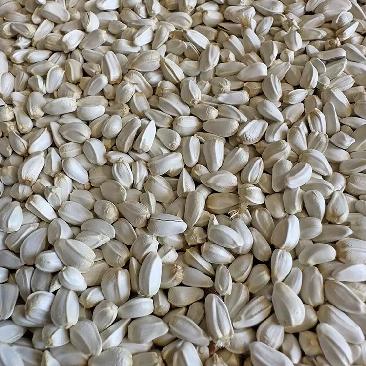 红花籽 500g
