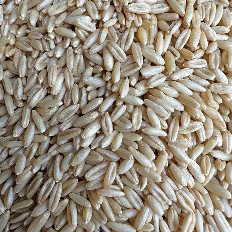 燕麦 500g