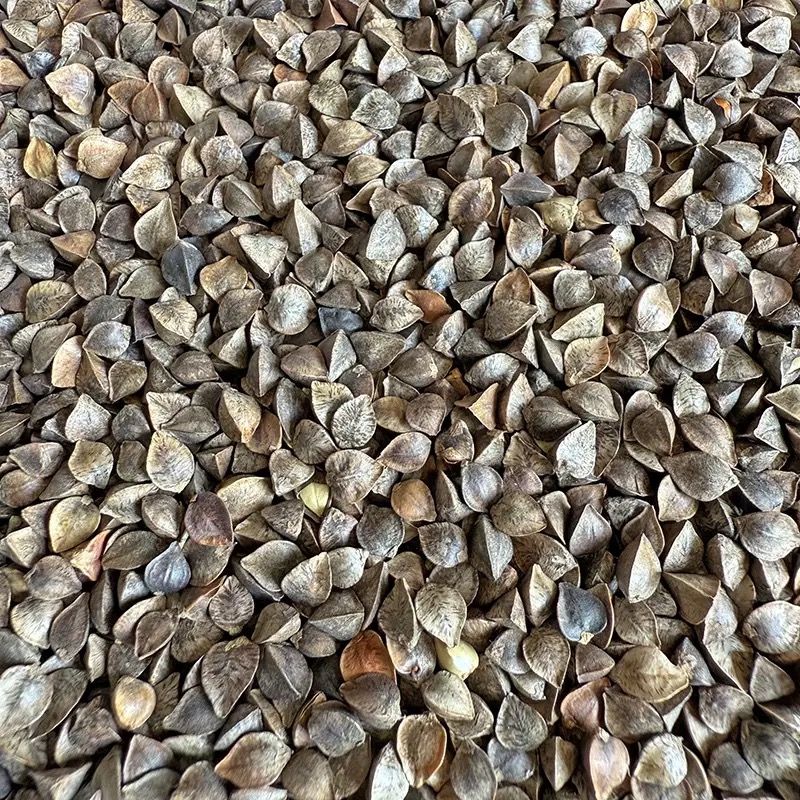 荞麦 500g